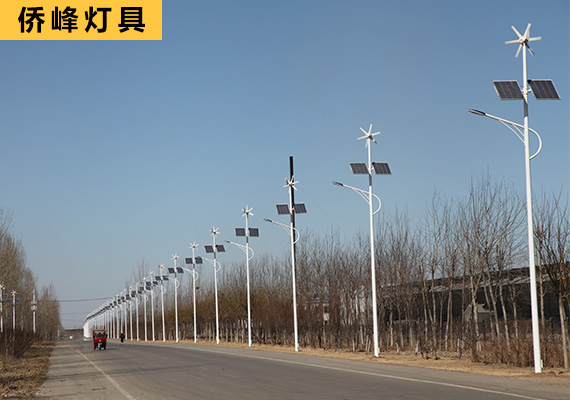 道路兩旁風光互補太陽能路燈案列