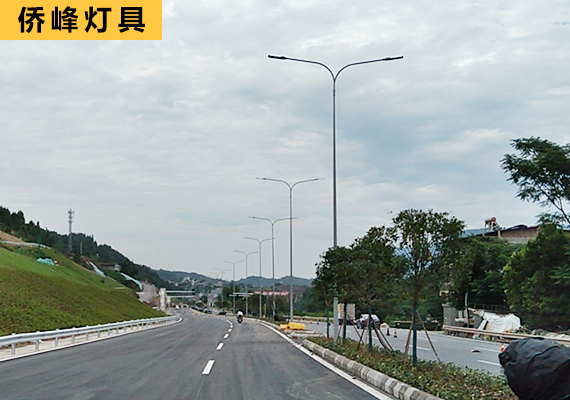 重慶雙頭道路燈桿工程